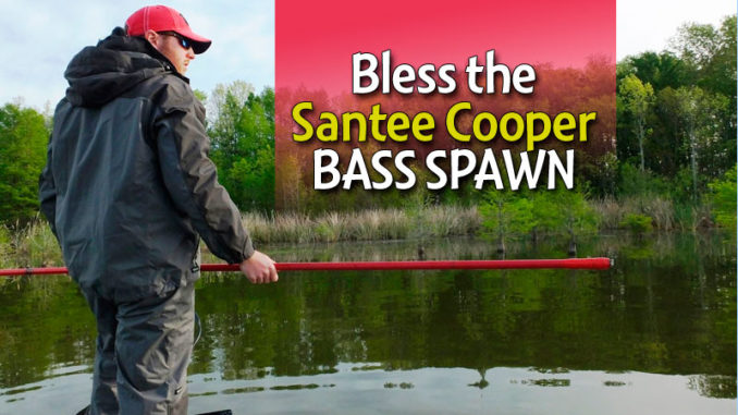 bass