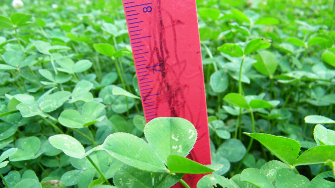 A great food plot of clover or another wildlife food crop needs to be located with the utmost care.