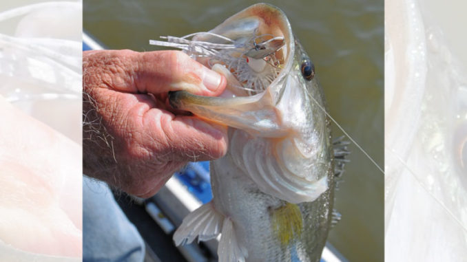 Spinnerbaits also are a good spring lure when bass go shallow to spawn.