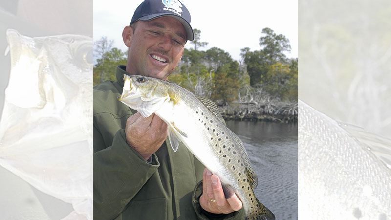 speckled trout