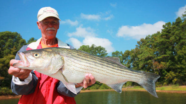 Guide Tommy Dudley said big stripers are a good possibility at Clarks Hill Lake in April, especially close to the dam on the lower end.