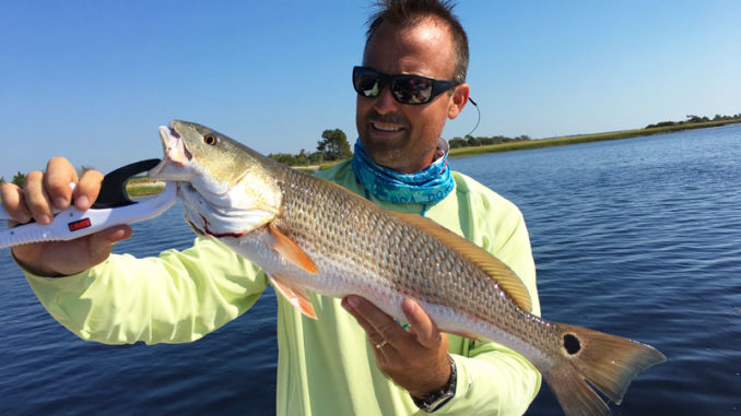 Spot-tail bass, aka redfish, hit the spring hungry after a winter in the ocean, and they move into Georgetown’s estuaries in April with a big appetite.