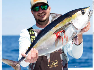 Blackfin tuna are an early season favorite for South Carolina bluewater fishermen along the Grand Strand.