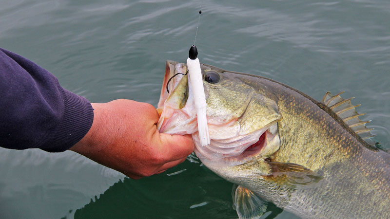 bass fishing lure tricks Catch more bass with these tube tricks