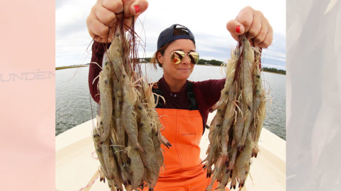 Deep-hole shrimp are on May's menu in South Carolina - Carolina Sportsman