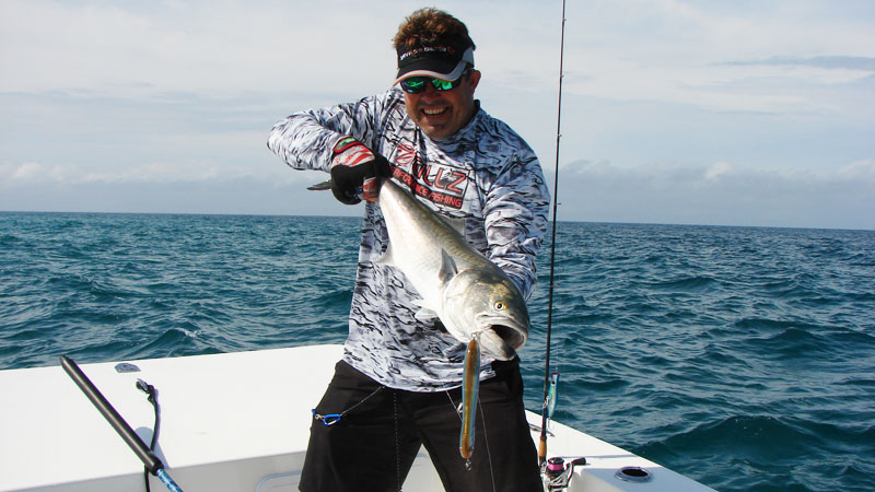 bluefish
