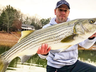 Guide Shane Goebel caught this 34-pound striper from North Carolina’s Hiwassee Lake, which has been stocked for only a handful of years.