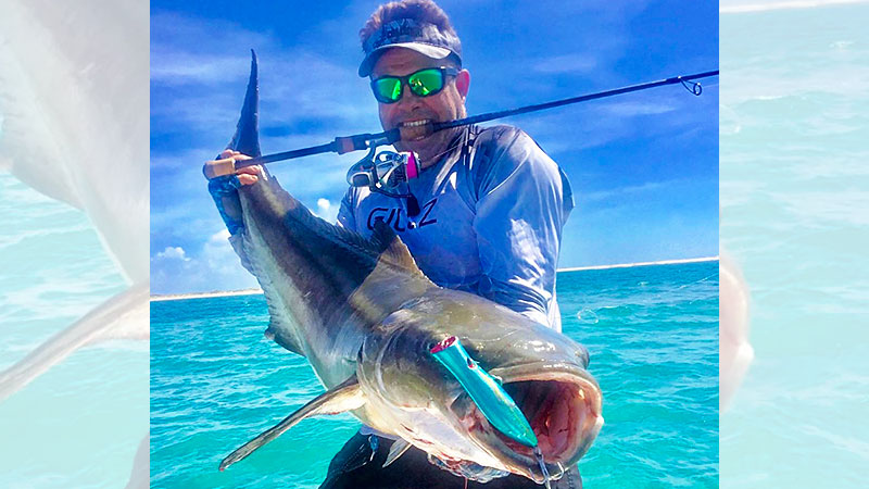Cape Lookout cobia
