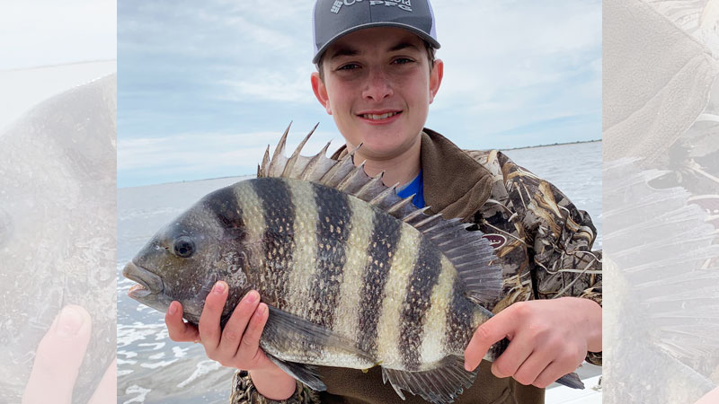 sheepshead