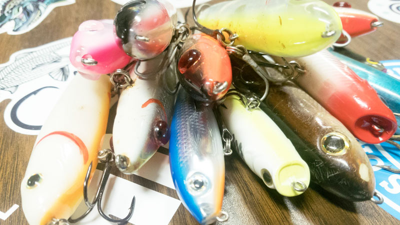 trout