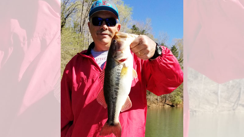 Guide Andy Fox said that bass fishing really cranks up on Lake Hickory in June.