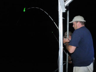Glow tips are a great idea for fishermen targeting Santee Cooper catfish after dark; they are a tremendous help seeing and recognizing bites.