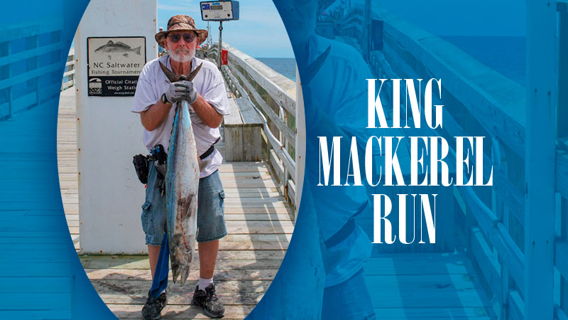 May is a special time along many Carolina beaches, and that is especially so along the beaches of Long Bay for the annual run of king mackerel that isn’t duplicated anywhere else in the two Carolinas.