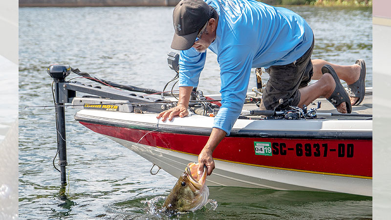 Don’t be afraid to leave shallow water this month. Big bass like this one being released are mostly in deeper water.