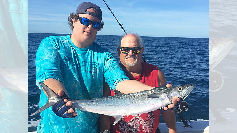 mackerel