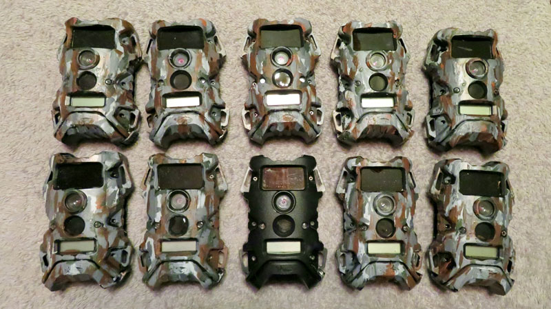 trail cameras