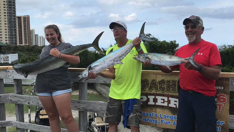 Apache Pier king mackerel