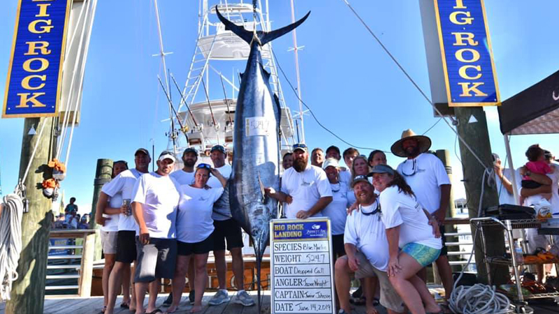 524-pound blue marlin