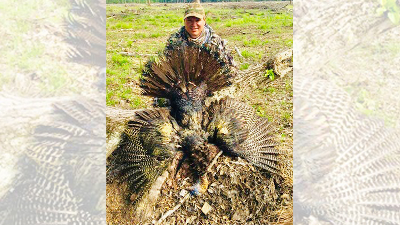 Turkey Harvest