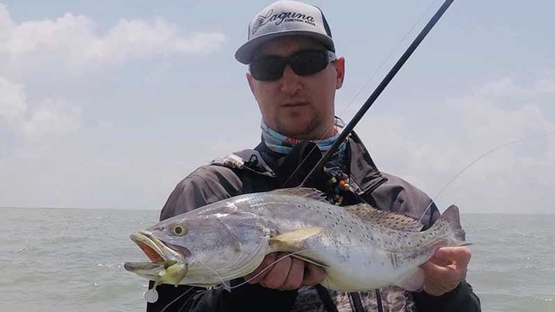trout