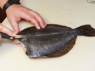 debone flounder