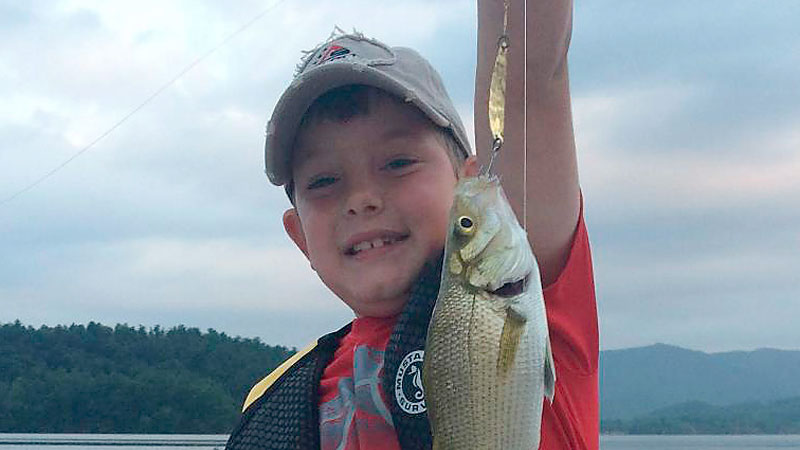 white perch