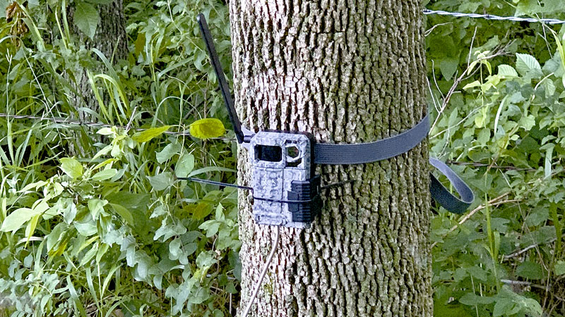 trail camera