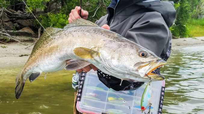 Speckled trout lures: what's most effective for you? - Carolina