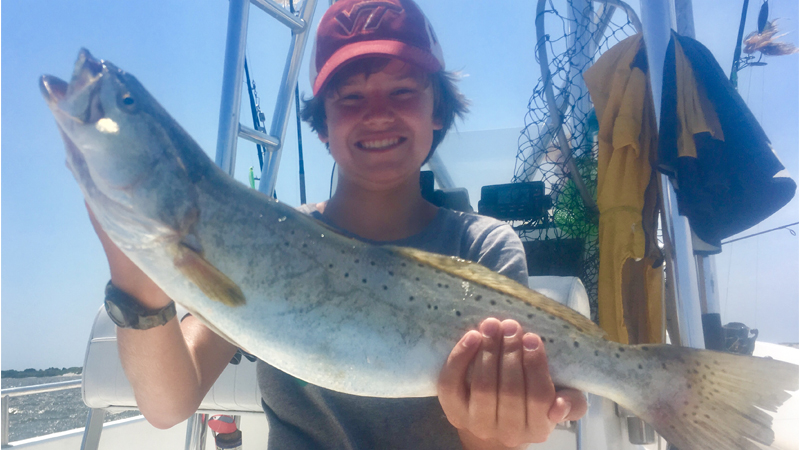 OBX