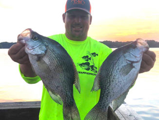 crappie