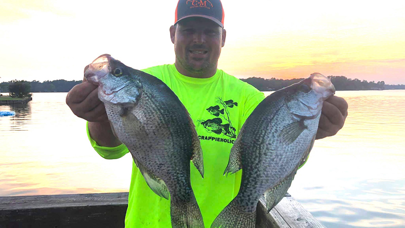 crappie