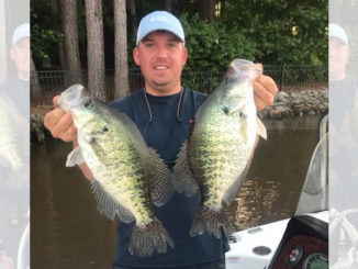 crappie