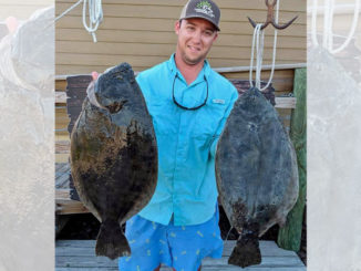 flounder