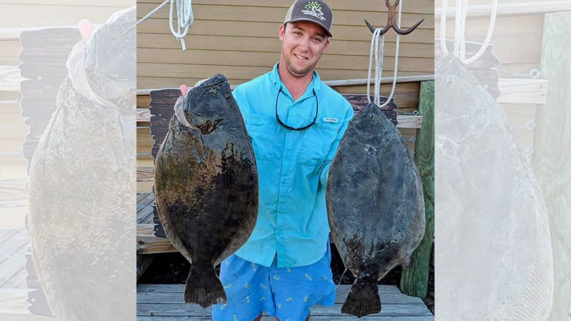 flounder