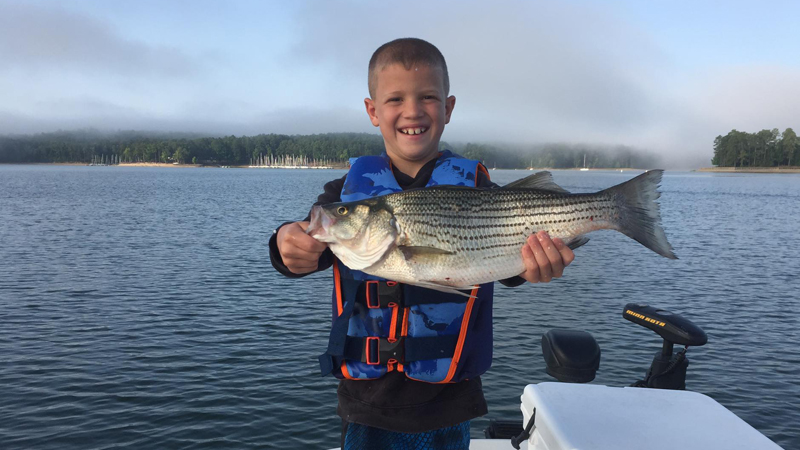 Hyco Lake hybrids