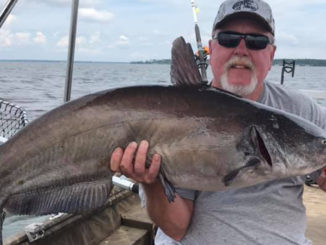 fishing report