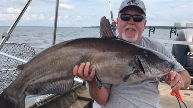 S.C. freshwater fishing report - what's biting right now