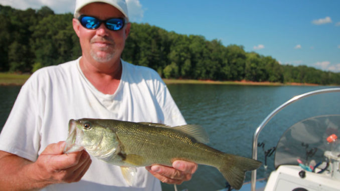 Lake Russell's spotted bass are biting live bait - Carolina Sportsman