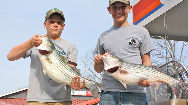 striper