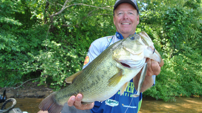 bass