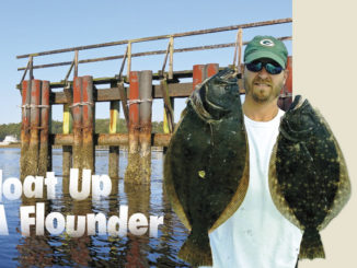 flounder