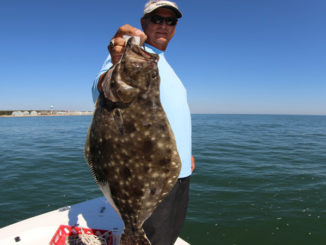 flounder