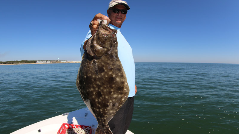 flounder