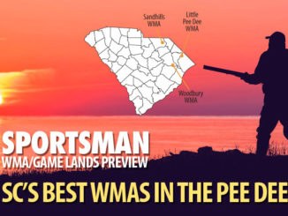 Pee Dee