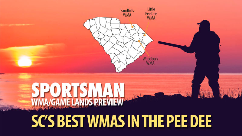 Pee Dee