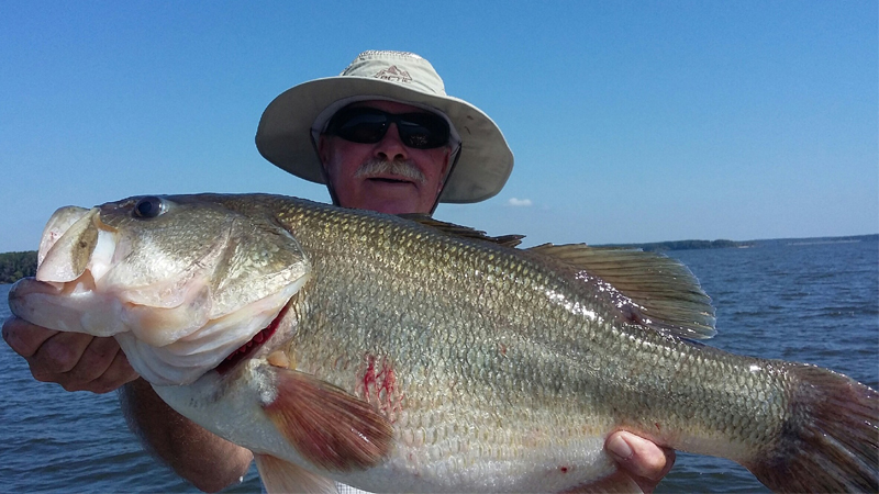 bass