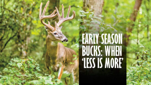 Early Season Bucks: When ‘Less Is More’