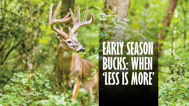 bucks