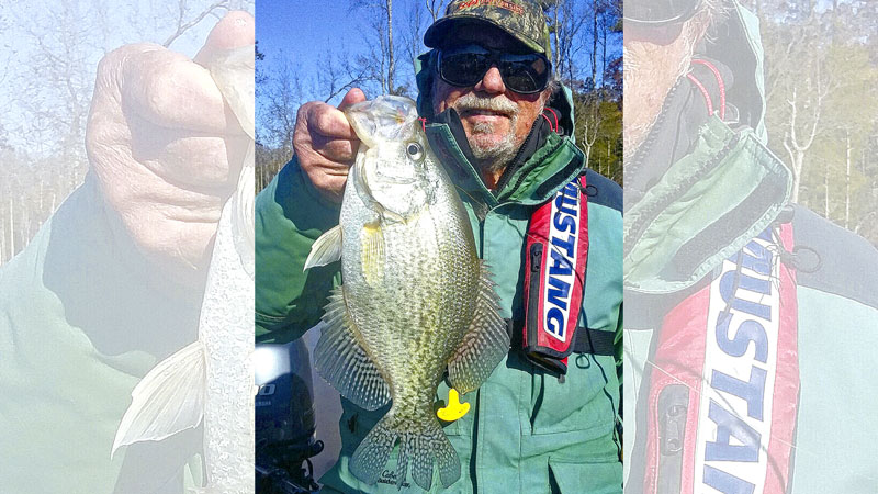 crappie