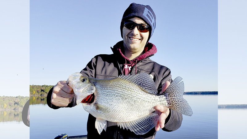 crappie